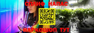 ешки Гусев