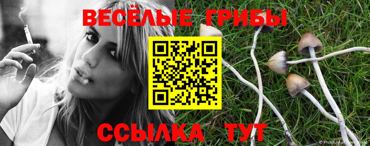 Галлюциногенные грибы Psilocybine cubensis  Вход с VPN  Москва 