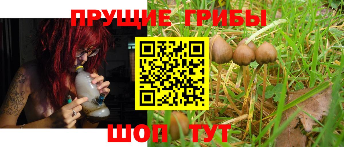 Галлюциногенные грибы GOLDEN TEACHER Москва